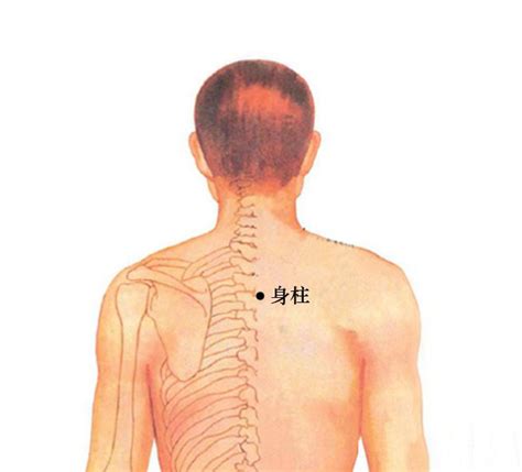 中柱穴|身柱穴位置 